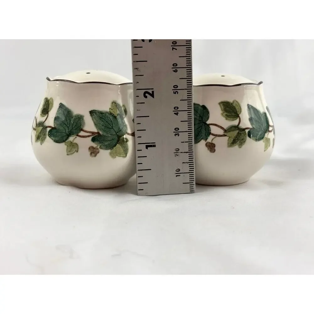 VTG‎ Green Ivy Plant Salt and Pepper Ceramic Shakers Japan Set
